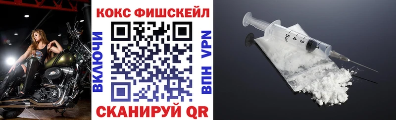 COCAIN Fish Scale Купить где Североморск
