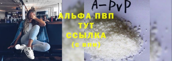 ешки Белокуриха