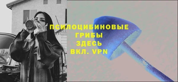 гидропоника Белоозёрский